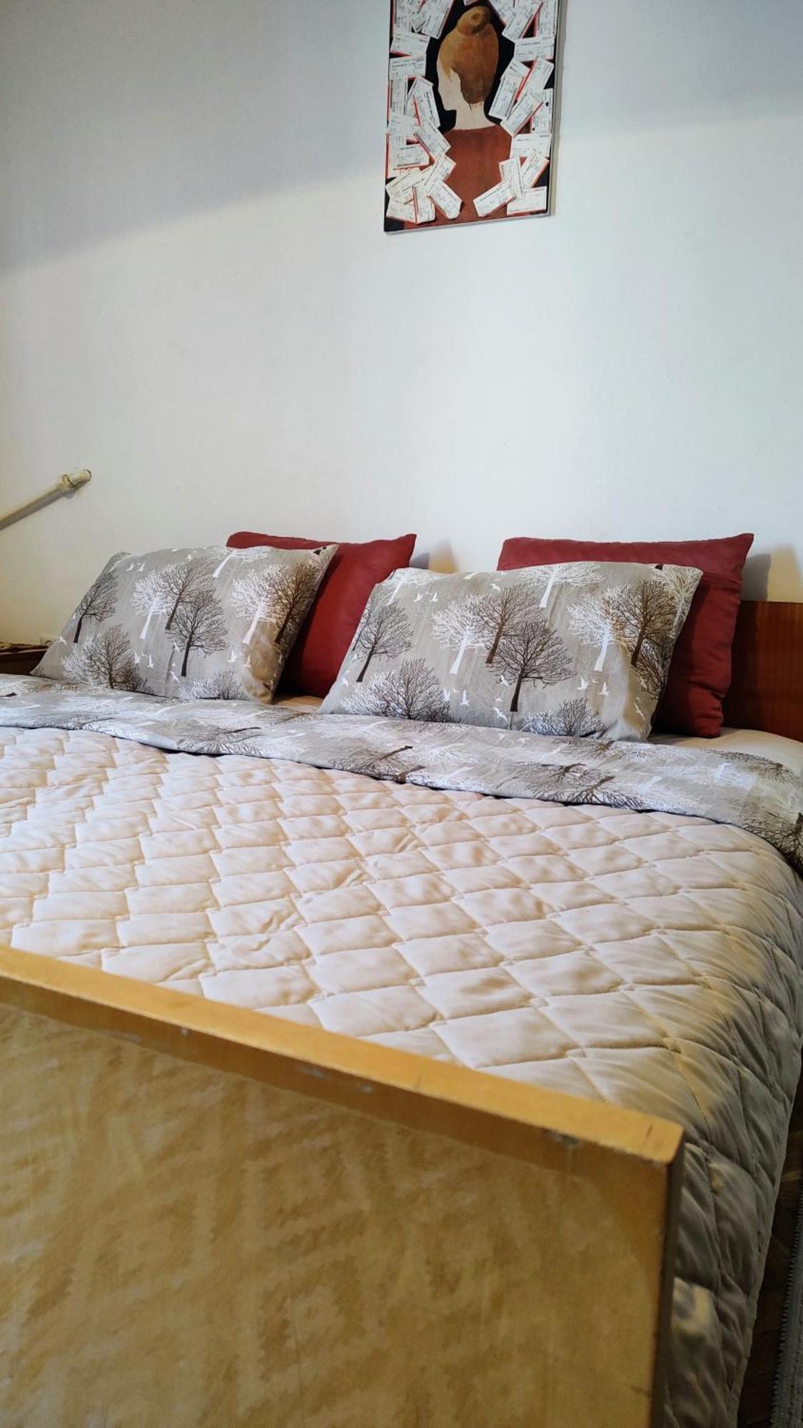 Digital Nomad Comfy Apartment,Foot Mountain Vodno And Millennium Cross,19 Min By Walk To Cener,Free Parking Scopia Exterior foto