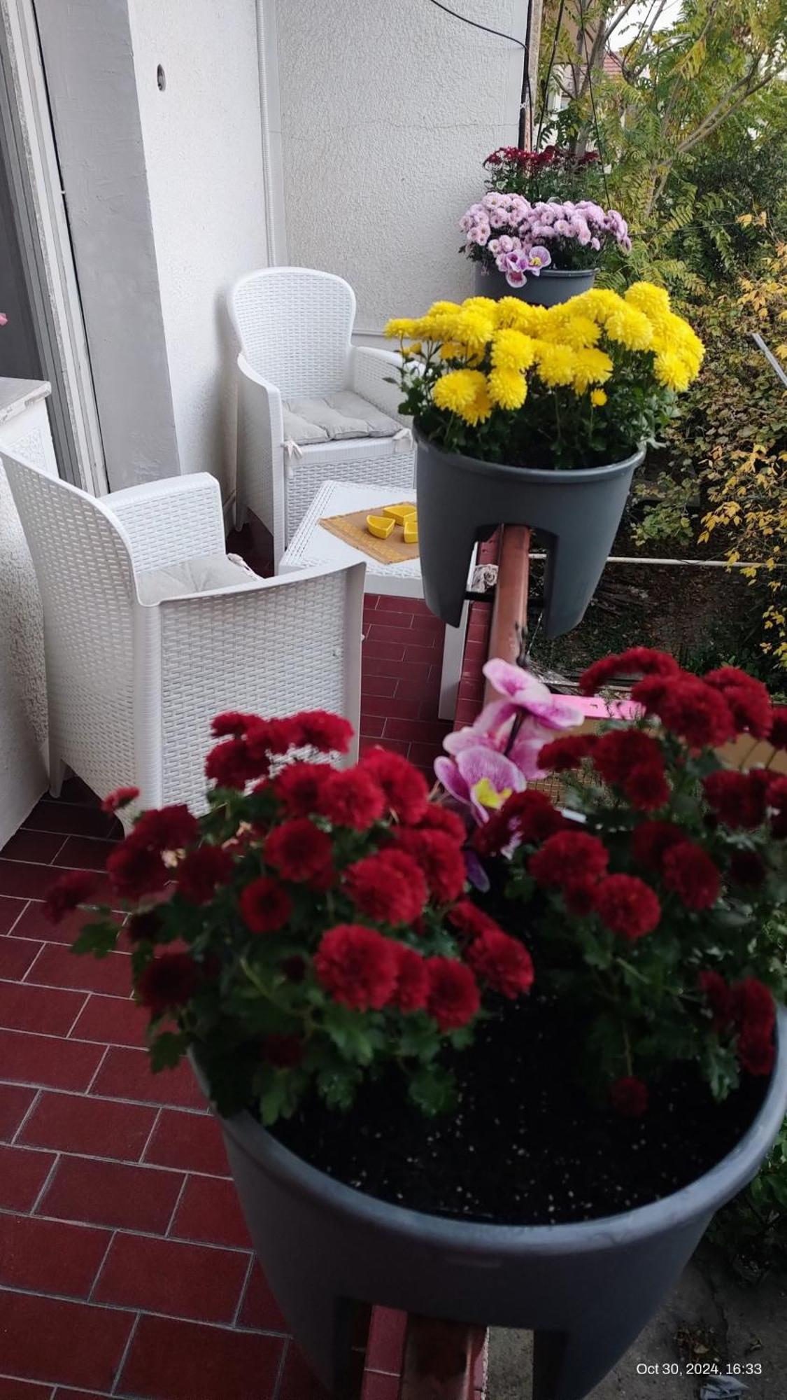 Digital Nomad Comfy Apartment,Foot Mountain Vodno And Millennium Cross,19 Min By Walk To Cener,Free Parking Scopia Exterior foto
